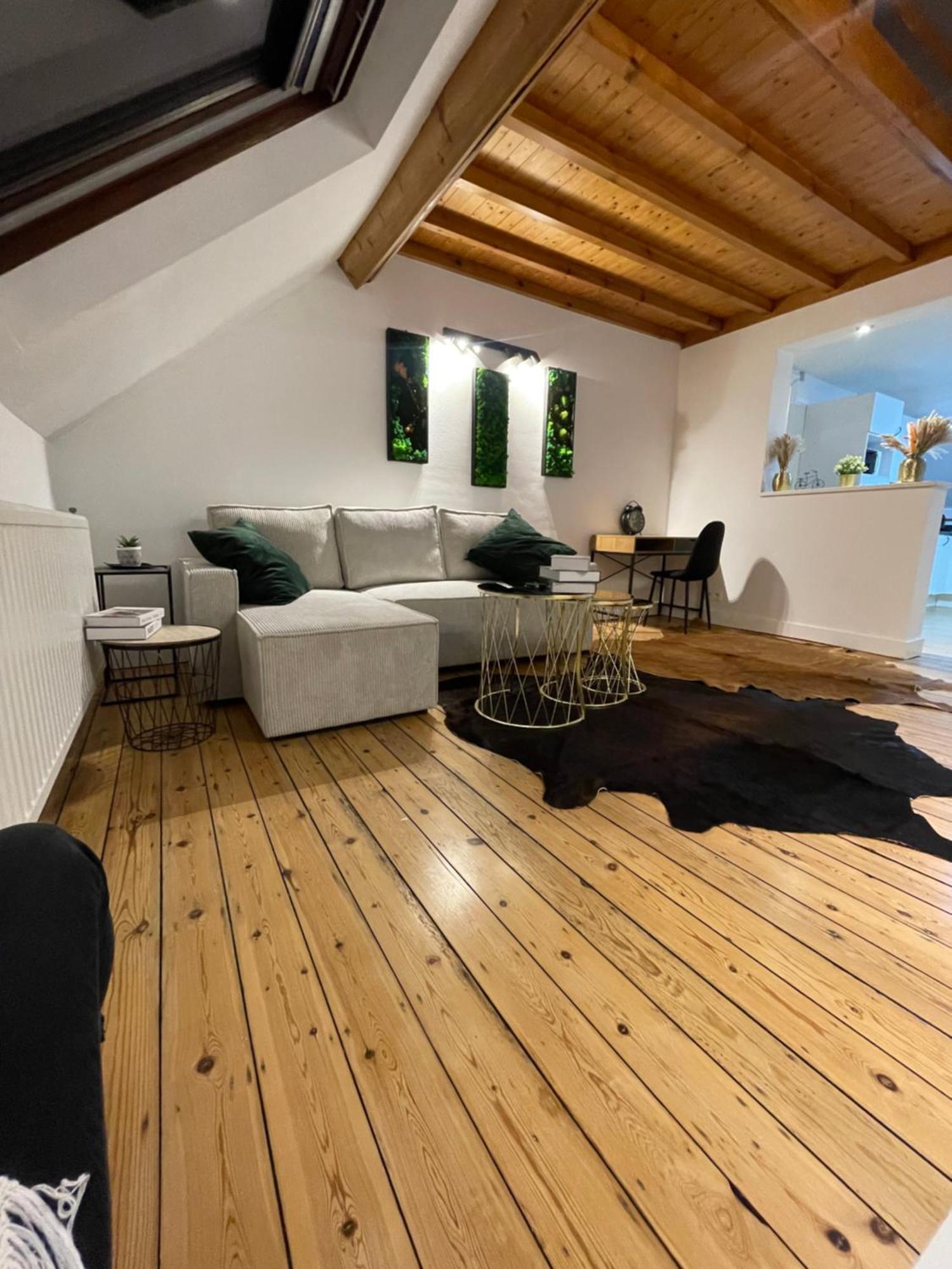 Attic European Quarter Appartement Brussel
