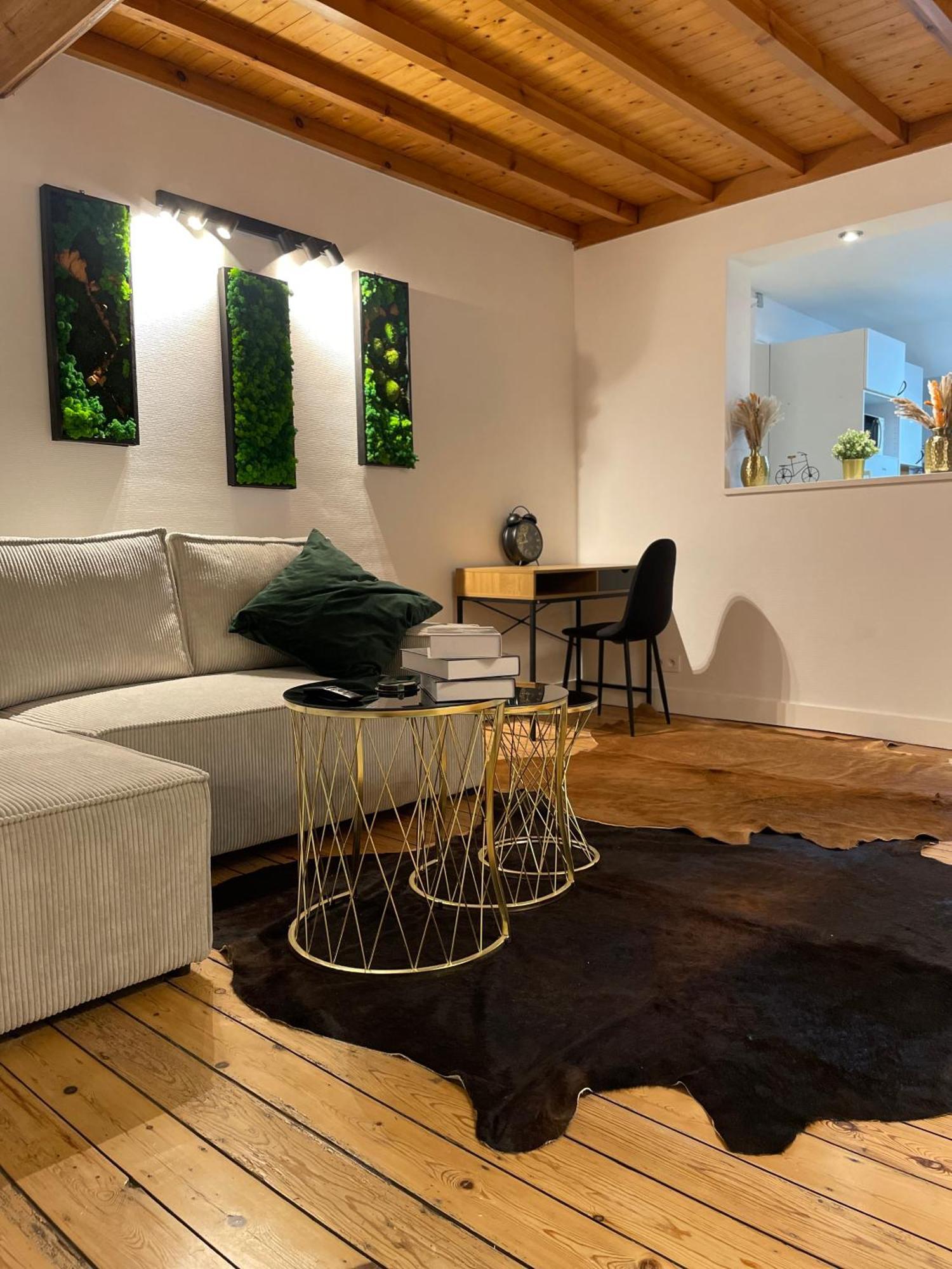 Attic European Quarter Appartement Brussel